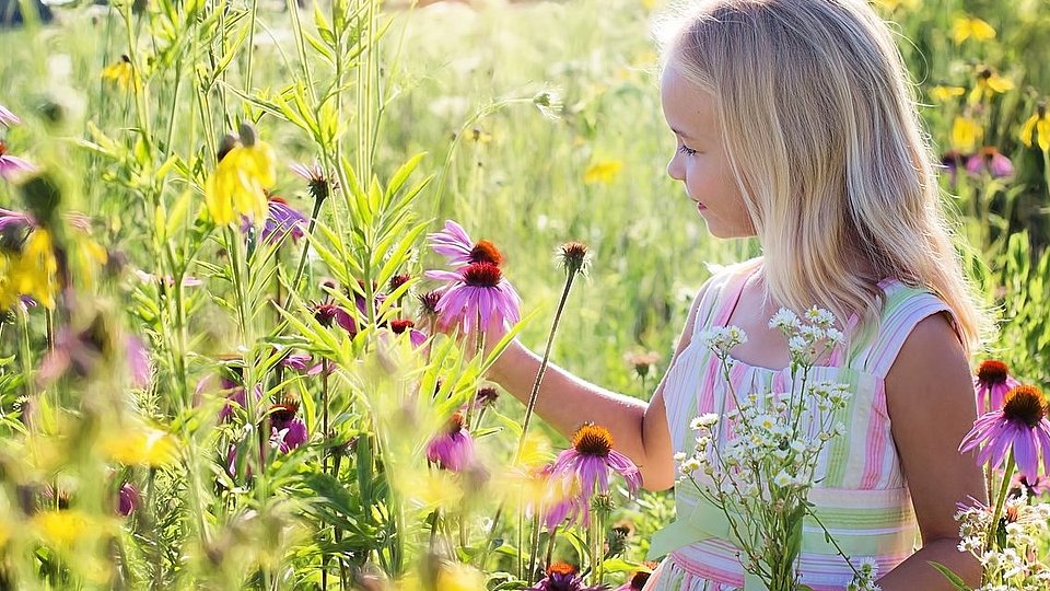 Ein kleines Mädchen steht in einem sommerlichen Blumenfeld. 
