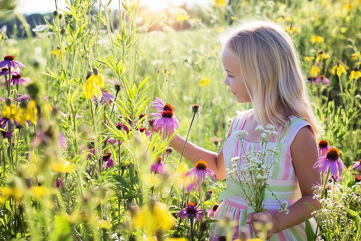 Ein kleines Mädchen steht in einem sommerlichen Blumenfeld.