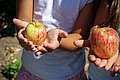 Zwei Kinder halten jeweils einen Apfel auf ihrer Hand.