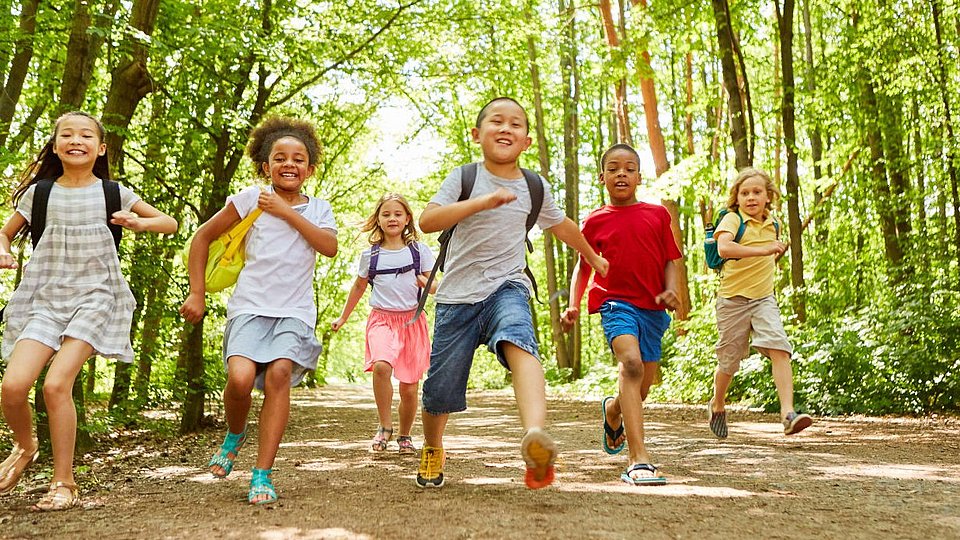 Bei einem Schulausflug laufen Schulkinder mit ihren Rucksäcken durch den Wald. 