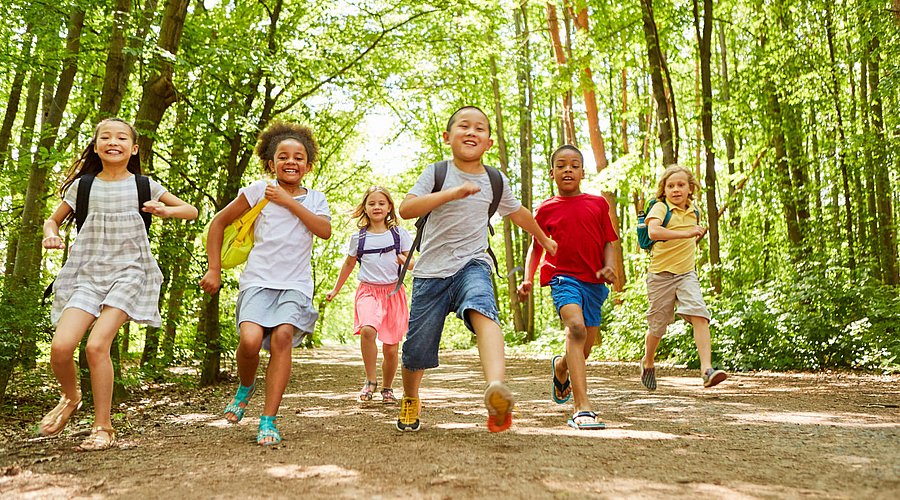 Bei einem Schulausflug laufen Schulkinder mit ihren Rucksäcken durch den Wald. 