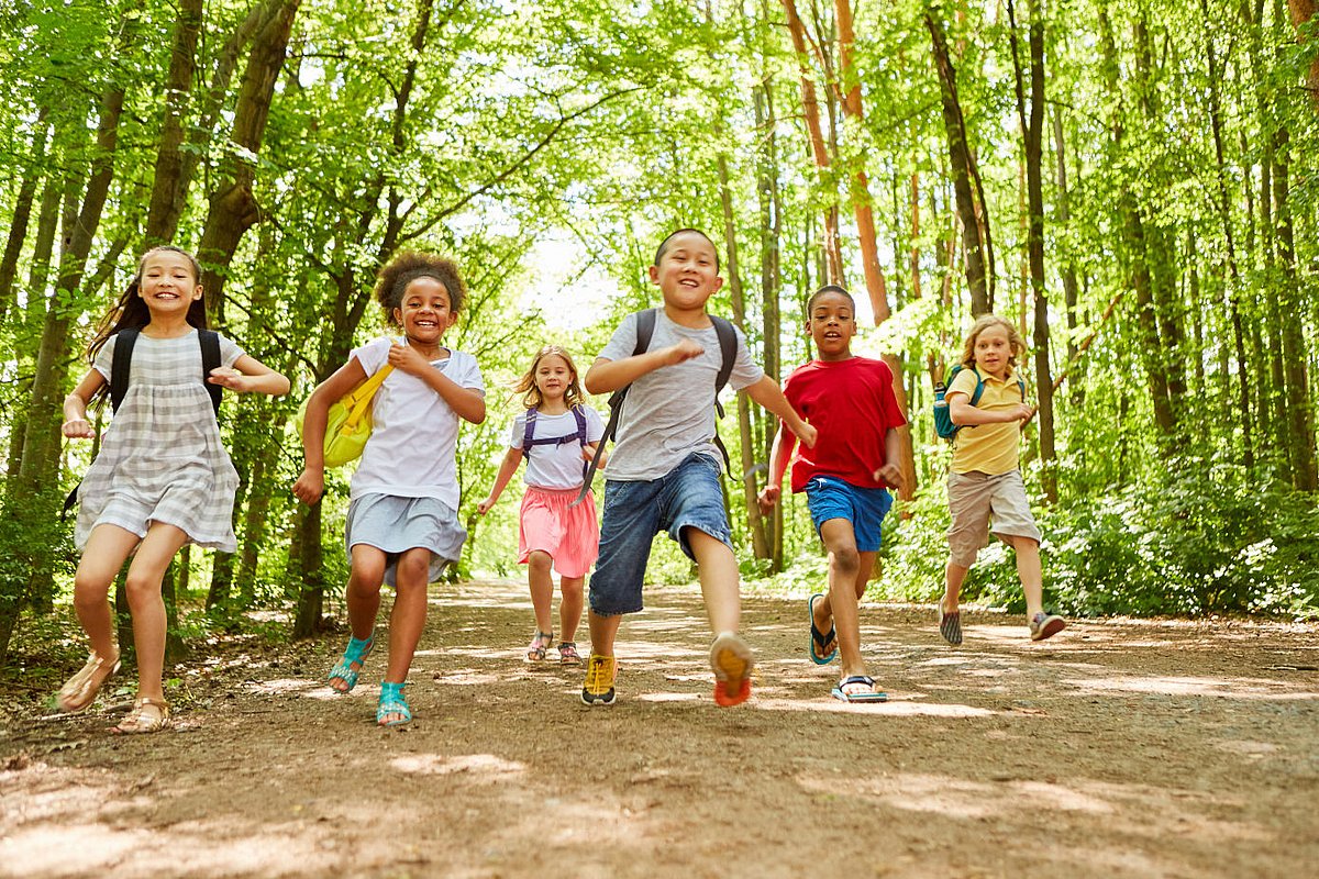 Bei einem Schulausflug laufen Schulkinder mit ihren Rucksäcken durch den Wald. 