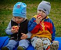 Zwei kleine Jungen mit Mützen sitzen auf einer blauen Decke auf dem Rasen und esesn einen Apfel. 