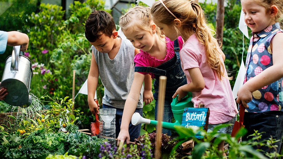 Schulkinder arbeiten im Schulgarten.