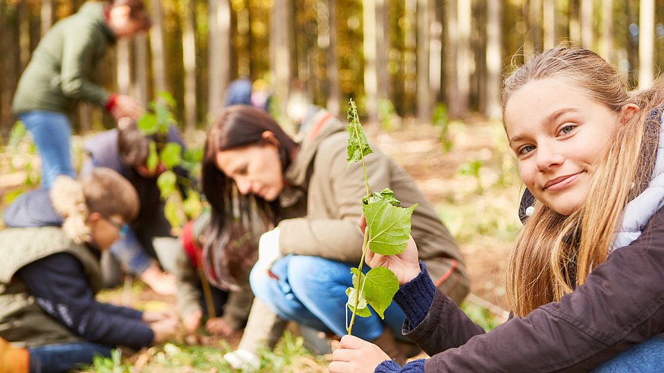 Mädchen pflanzt einen Baum-Setzling als Klimawandelbaum. 