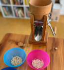 Hand-Körner-Quetsche und bunte Schalen mit Getreideflocken