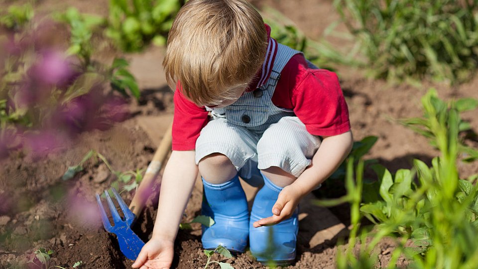 Eine Junge sät im Garten Gemüse aus. 