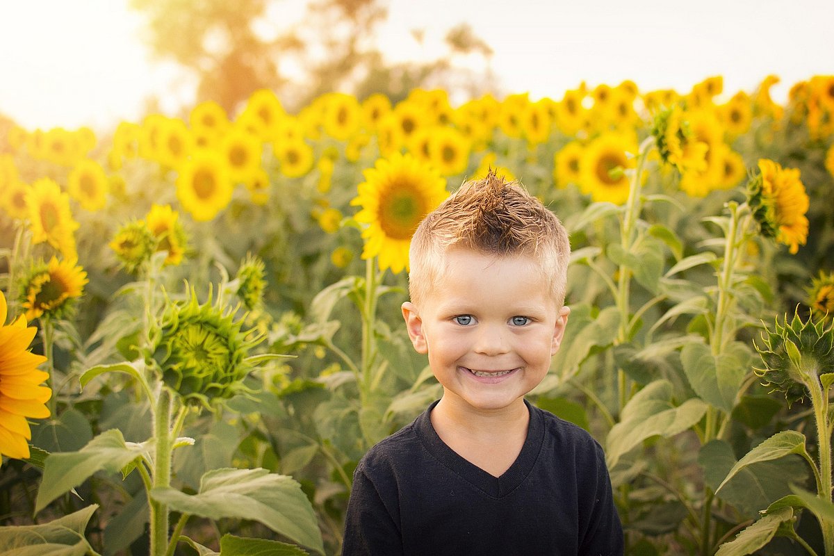Ein kleiner Junge steht vor einem Feld mit blühenden Sonnenblumen, im Hintergrund das Licht des Sonnenuntergangs. Der Junge hat blonde Stoppelhaare und lächelt. 