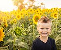 Ein kleiner Junge steht vor einem Feld mit blühenden Sonnenblumen, im Hintergrund das Licht des Sonnenuntergangs. Der Junge hat blonde Stoppelhaare und lächelt. 
