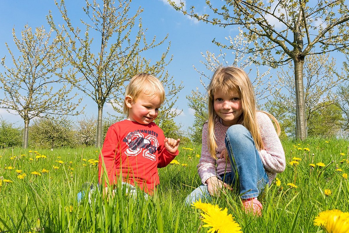 Ein kleiner Junge und ein etwas älteres Mädchen sitzen auf einer grünen Frühlingswiese.