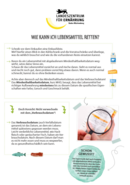 Bild Plakat mit Text und Lupe auf Mindeshaltbarkeitsdatum