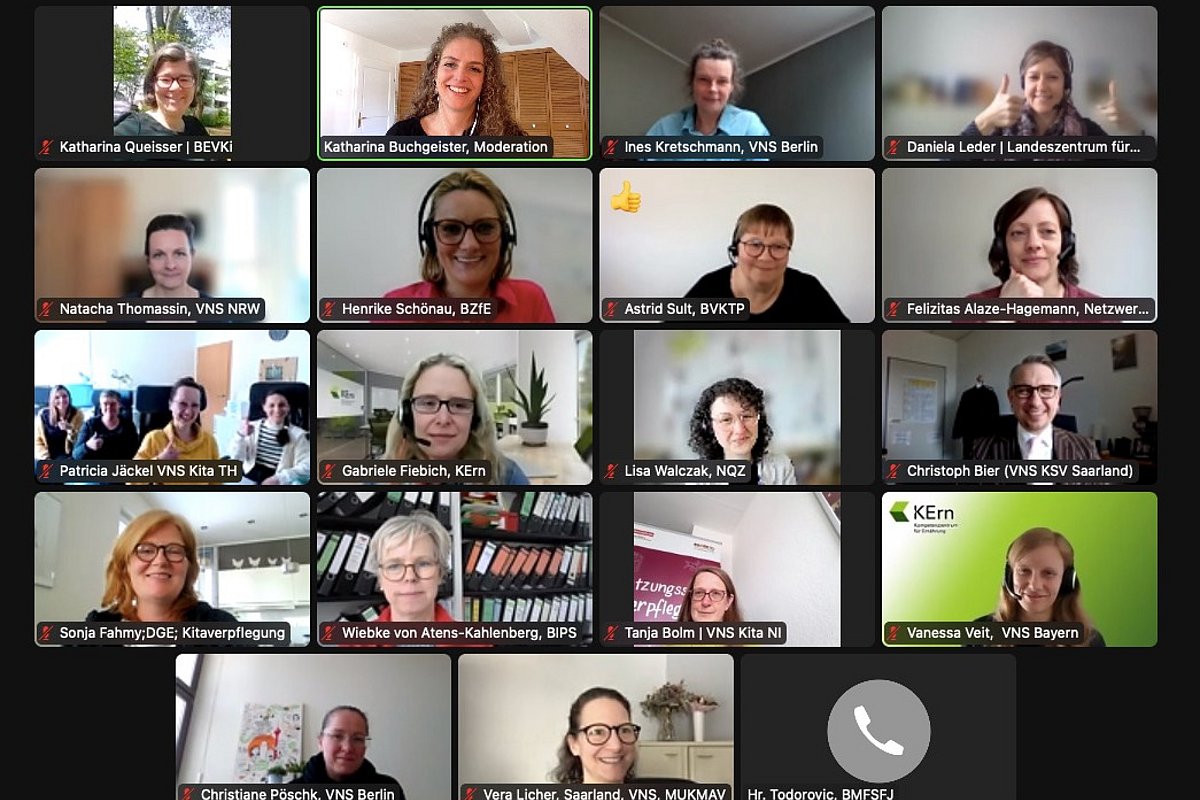 Online-Meeting Fachgespräch Kindertagespflege