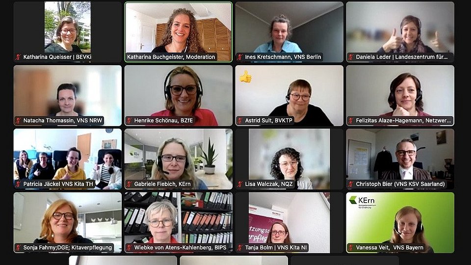Online-Meeting Fachgespräch Kindertagespflege