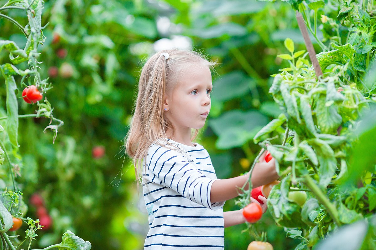 Kind im Garten Kind im Garten