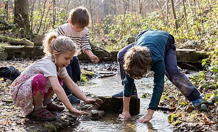 Schulkinder spielen im Wald an einem Bach.