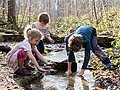 Schulkinder spielen im Wald an einem Bach.