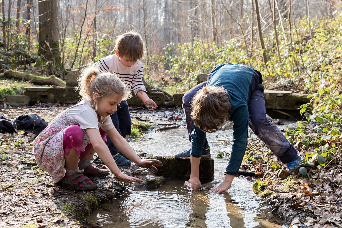 Schulkinder spielen im Wald an einem Bach.