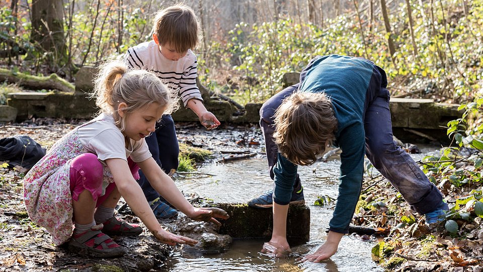 Schulkinder spielen im Wald an einem Bach.