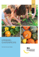 Deckblatt: Kinder pflanzen Setzling in die Erde; Kürbisse