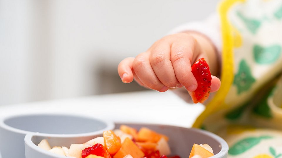 Kleinkind greift mit der Hand Obststückchen aus einer Schale. 