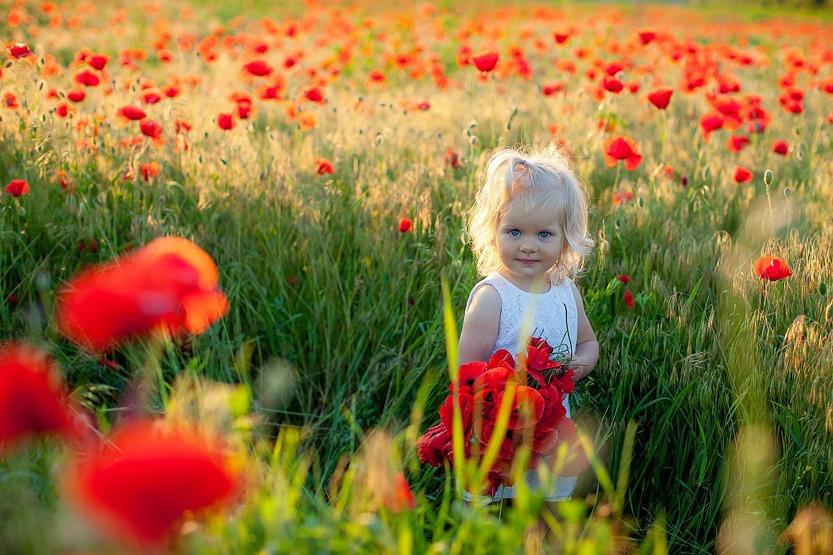 Ein kleines blondes Mädchen im weißen Sommerkleid steht am Rand eines Getreidesfeldes, in dem viele rote Mohnblumen wachsen..
