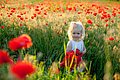 Ein kleines blondes Mädchen im weißen Sommerkleid steht am Rand eines Getreidesfeldes, in dem viele rote Mohnblumen wachsen..