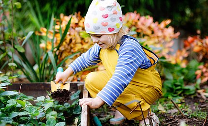 Kita-Kind buddelt im Gemüsegarten.