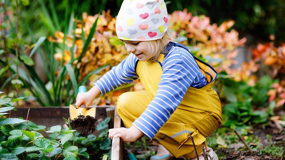 Kita-Kind buddelt im Gemüsegarten.
