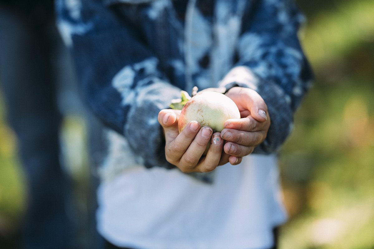 Kind hält beschützend eine Kohlrabi in den Händen.