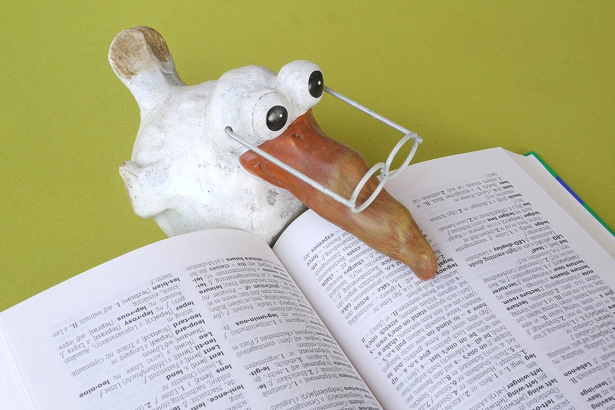 Stofftier Vogel liest Buch 
