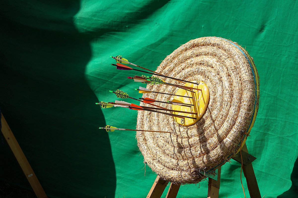 Zielscheibe mit vielen Pfeilen in der Mitte