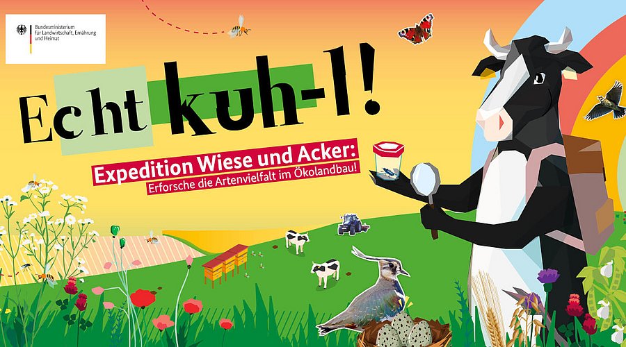 Echt kuh-l Motto für 2025: Expedition Wiese und Acker: Erforsche die Artenvielfalt im Ökolandbau!