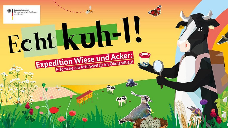 Echt kuh-l Motto für 2025: Expedition Wiese und Acker: Erforsche die Artenvielfalt im Ökolandbau!