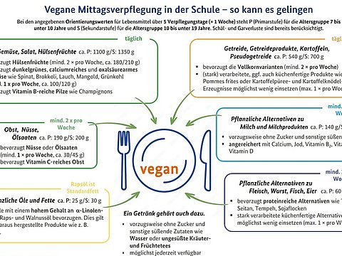 Schaubild mit Kriterien für eine vegane Mittagsverpflegung in Schulen.
