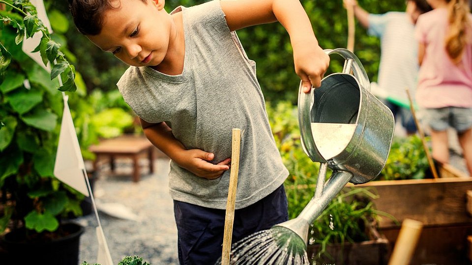 Schulkinder arbeiten im Schulgarten. 