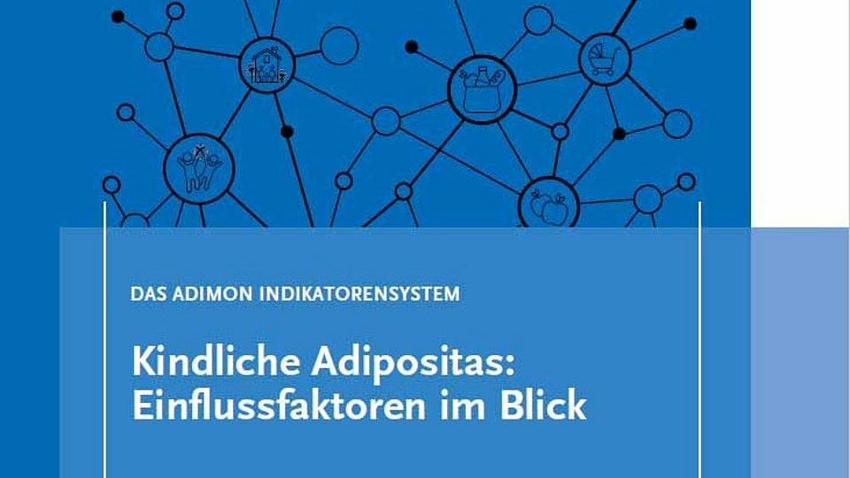 Titelbild der RKI Broschüre "Das Adimon Indikatorensystem" 