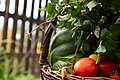 Foto zeigt Obst- und Gemüsekorb auf einer Wiese, im Hintergrund ist ein hölzener Gartenzaun zu sehen. 