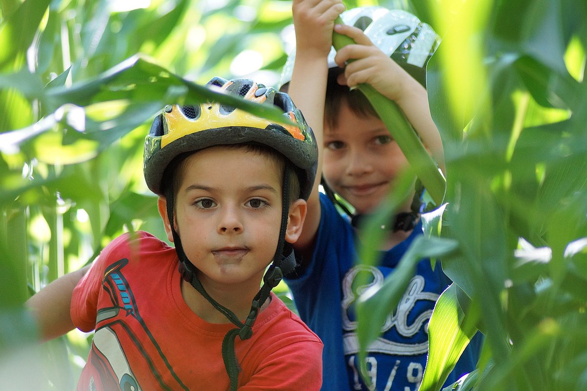 Zwei jüngere Jungen mit Fahrradhelm auf dem Kopf haben sich in einem Maisfeld versteckt und schauen durch die Stauden.