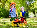 Ein Mädchen und ein Junge im Kindergartenalter stehen in einem Garten. Das Mädchen hält eine Schubkarre voller Gemüse in der Hand, der Junge ein großes Bund Möhren.