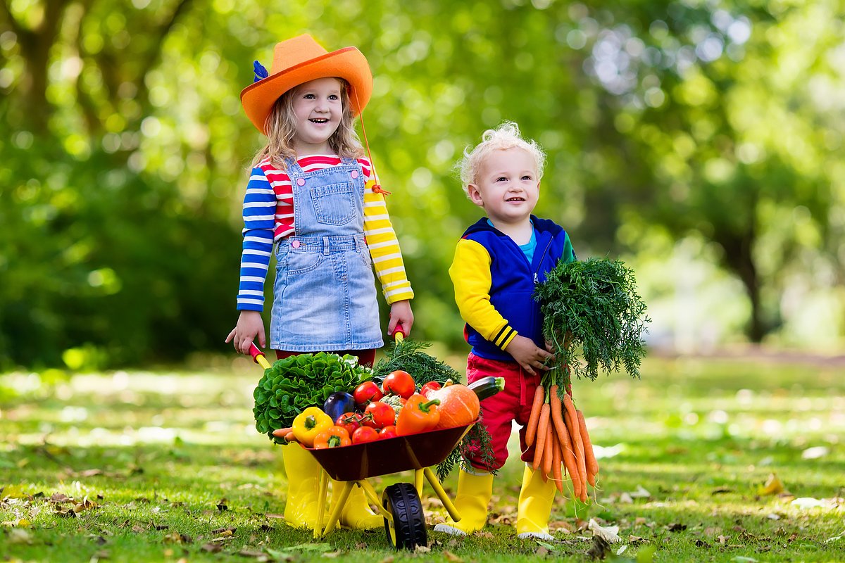 Ein Mädchen und ein Junge im Kindergartenalter stehen in einem Garten. Das Mädchen hält eine Schubkarre voller Gemüse in der Hand, der Junge ein großes Bund Möhren.