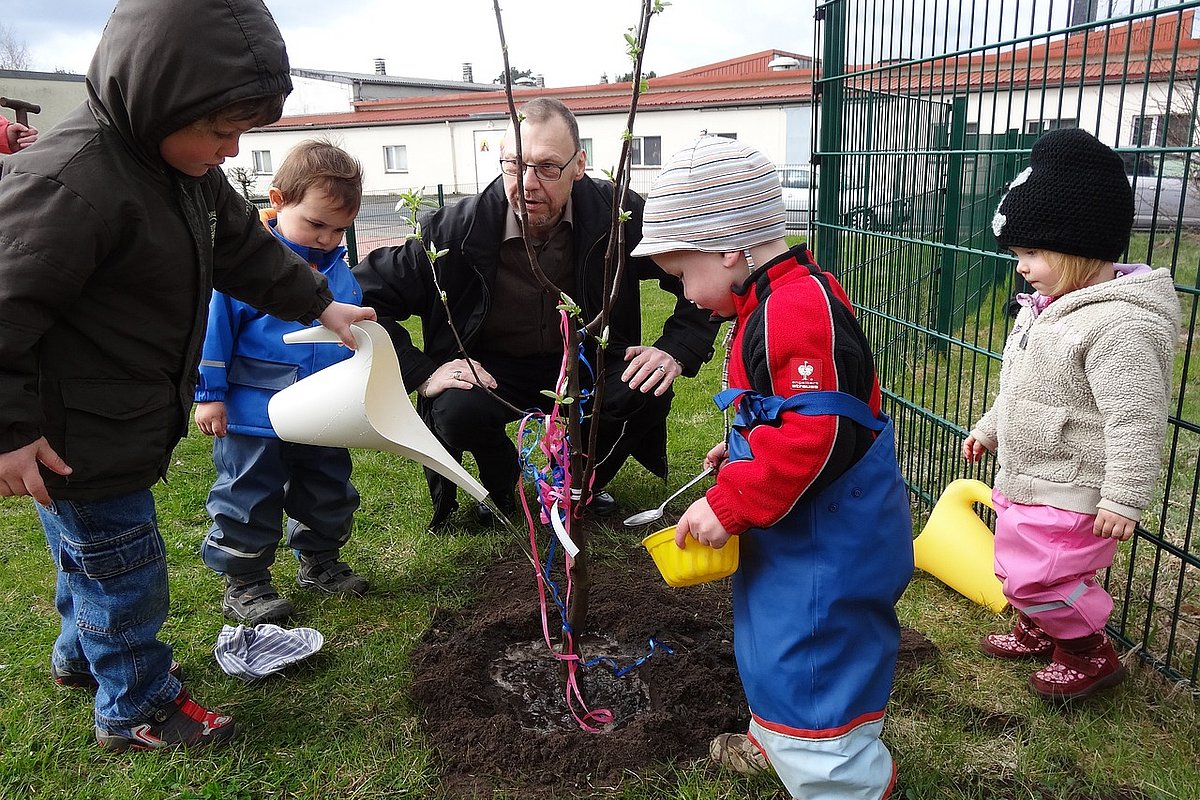 Kindergartenkinder pflanzen gemeinsam mit einem Erzieher einen Baum
